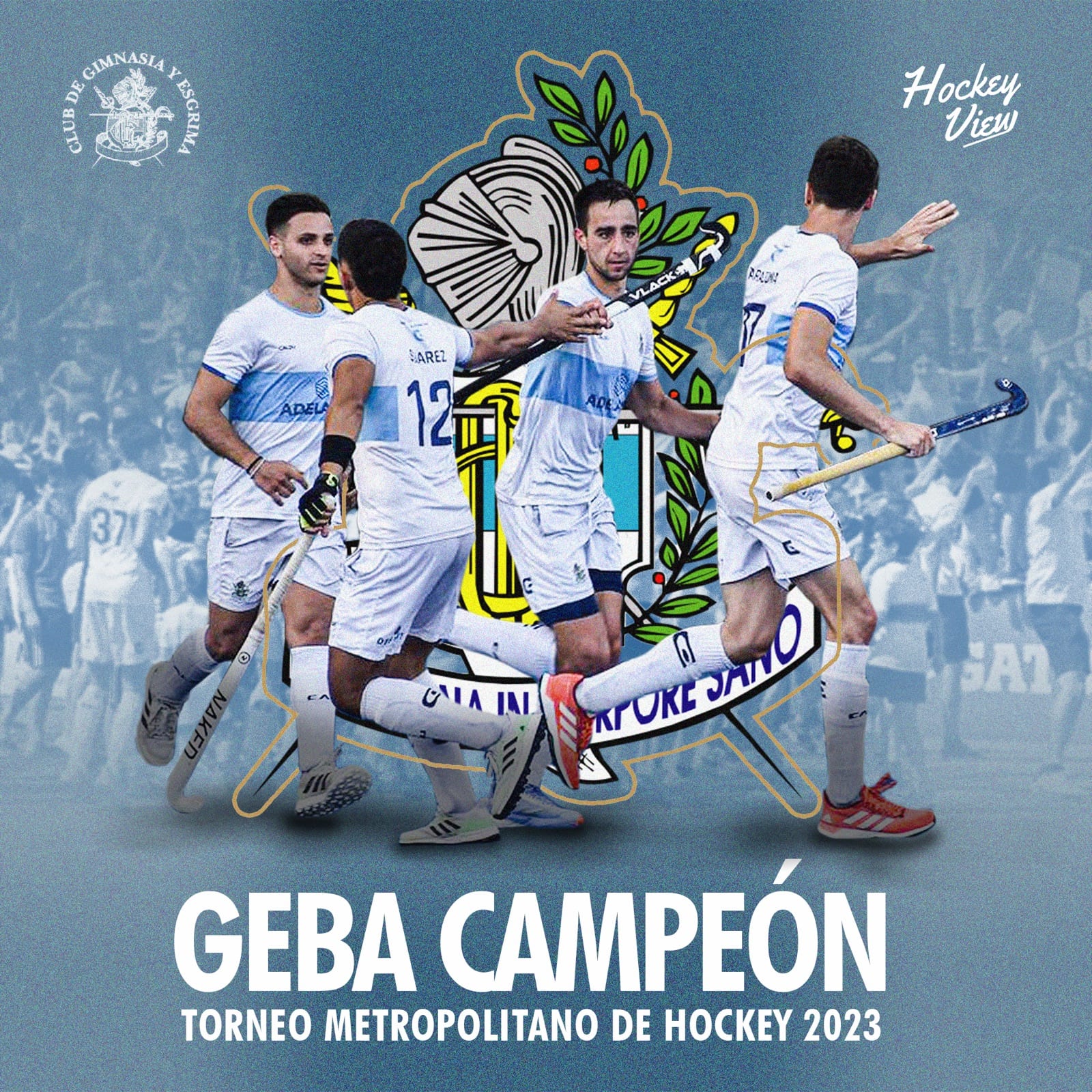 Pieza gráfica para Hockey View
